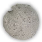 Black Sesame