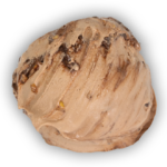 Gianduja